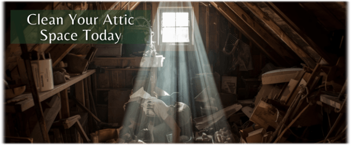 Attic Cleaning Palatine IL